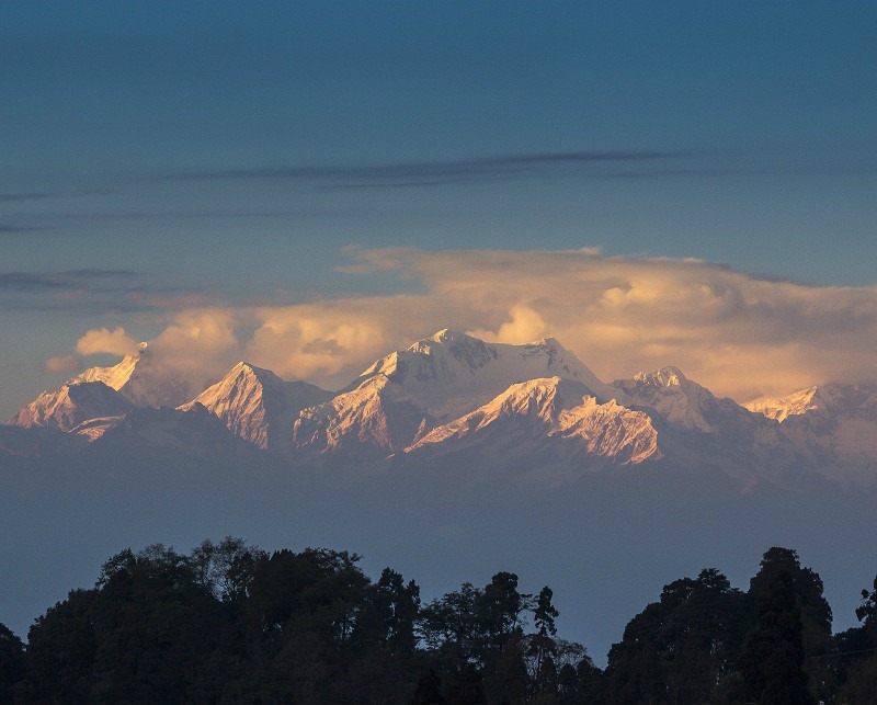 Darjeeling Tea Estates - 10 reasons to travel to India